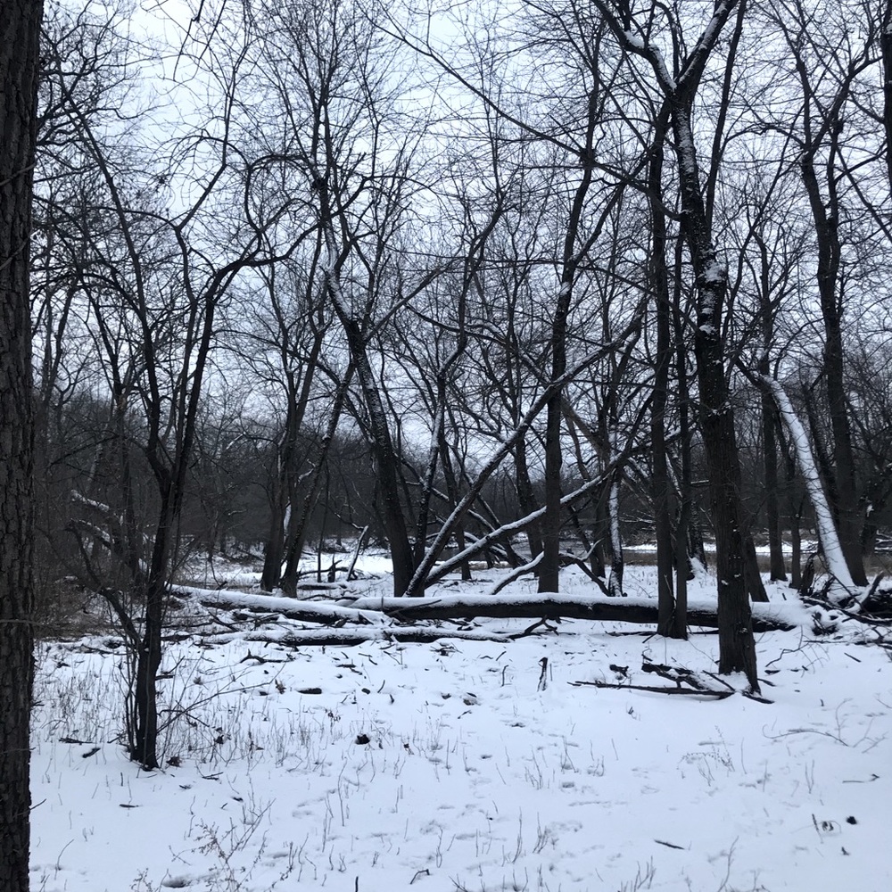2021 Winter Wonder